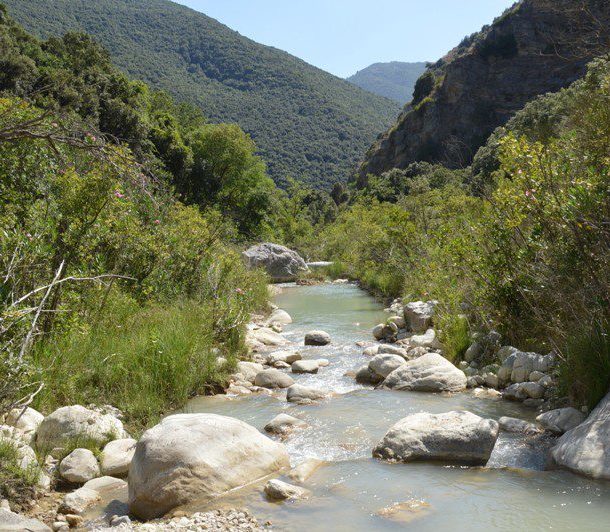 Dintorni Fiume Sosio Abbazia Santa Maria del Bosco - Contessa Entellina