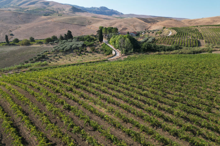 Cantine dintorni - Abbazia Santa Maria del Bosco - Contessa Entellina