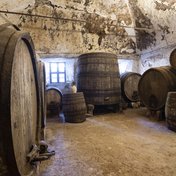 Cantina Abbazia Santa Maria del Bosco - Contessa Entellina