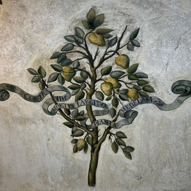 Affresco Farmacia Abbazia Santa Maria del Bosco - Contessa Entellina