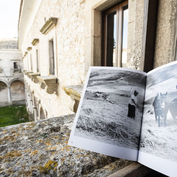 Abbazia Santa Maria del Bosco - Contessa Entellina