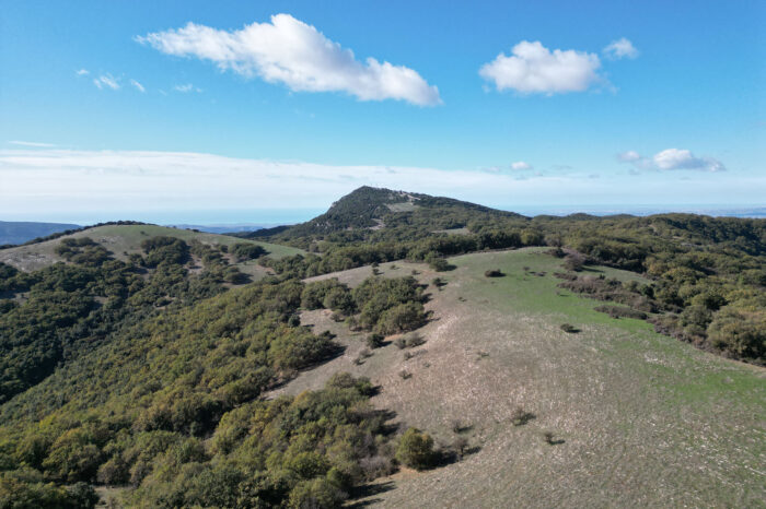 Trekking naturalistico - Abbazia Santa Maria del Bosco - Contessa Entellina