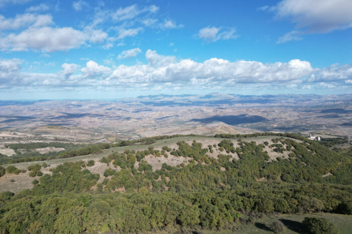 Trekking naturalistico - Abbazia Santa Maria del Bosco - Contessa Entellina