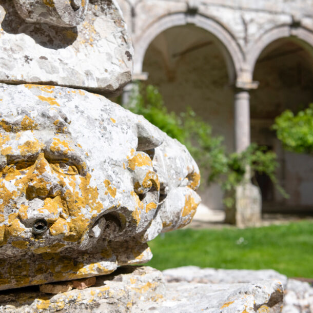 Fontana Abbazia Santa Maria del Bosco