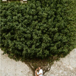 Wedding Abbazia Santa Maria del Bosco - Contessa Entellina